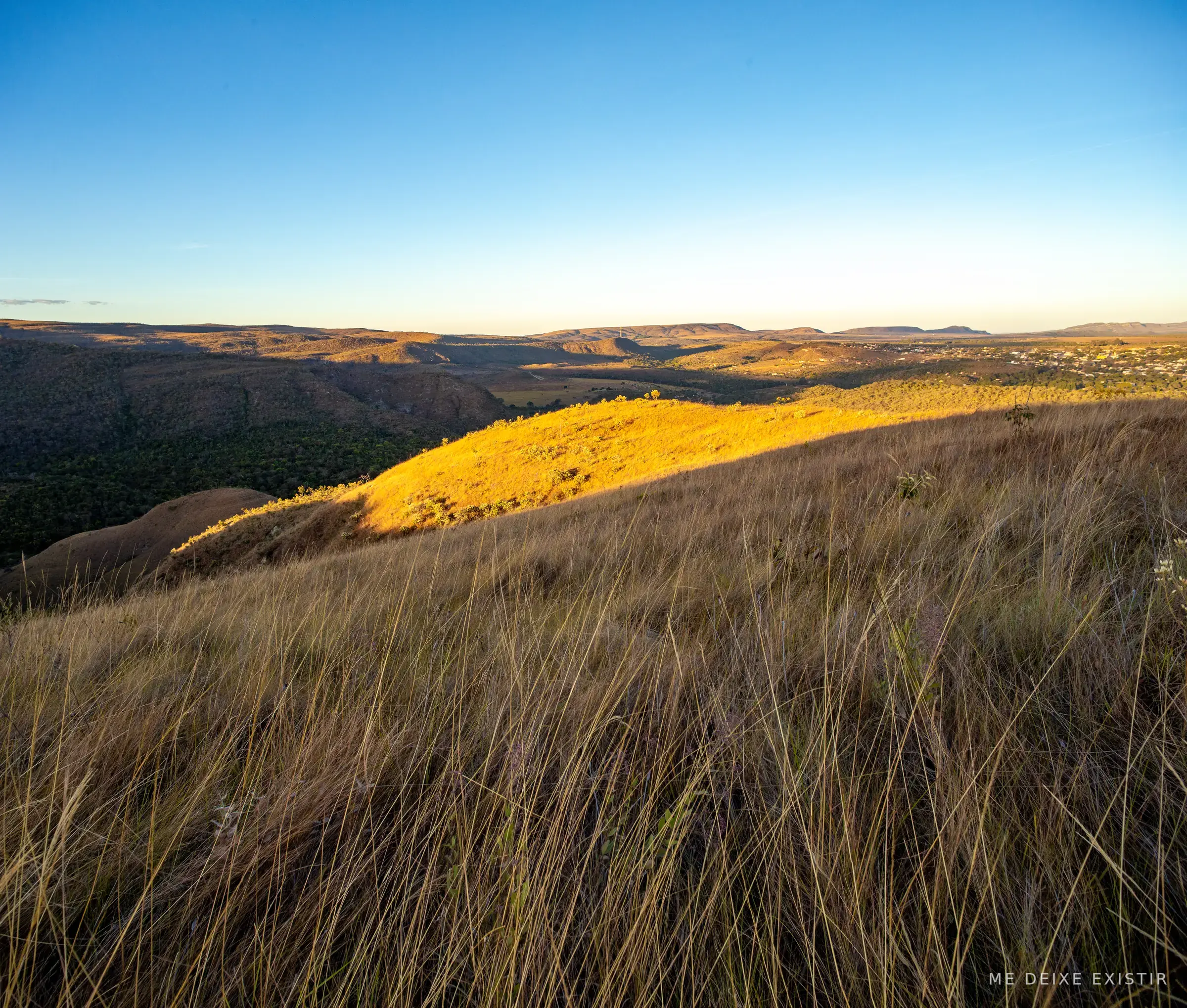 Horizonte dourado