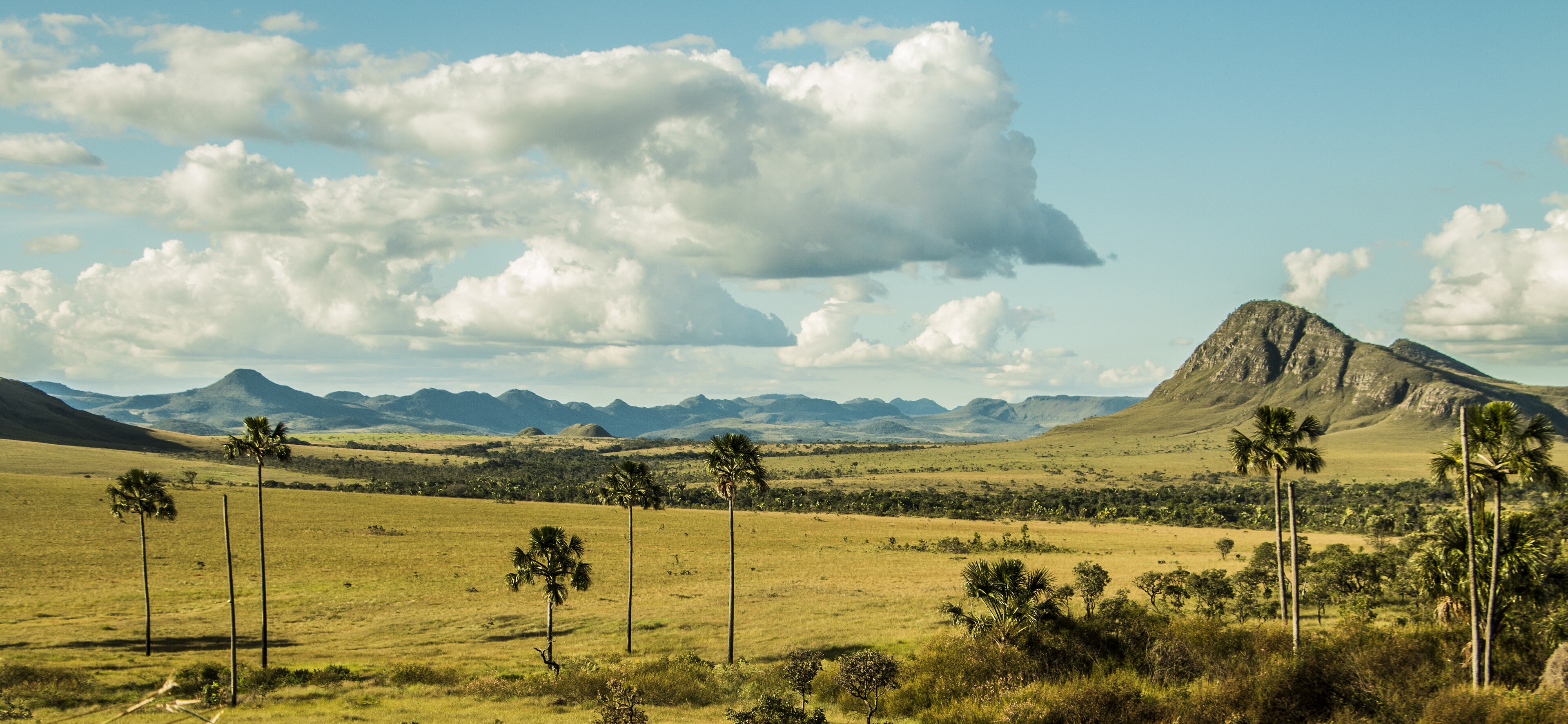 Campo e vereda